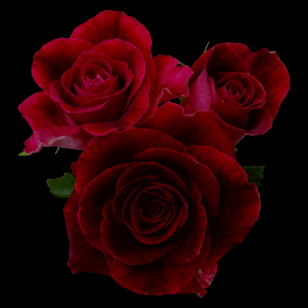 Fresh & Faux Flower Bundles